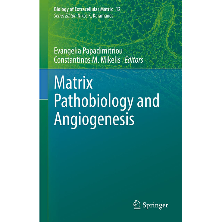 Matrix Pathobiology and Angiogenesis
