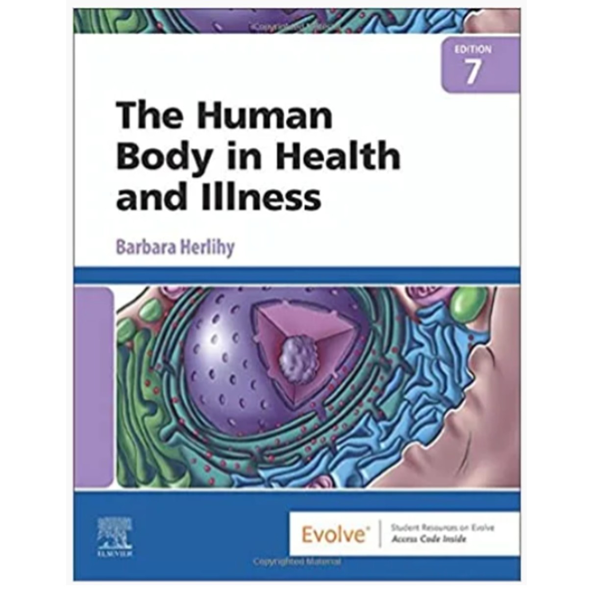 The Human Body in Health and Illness