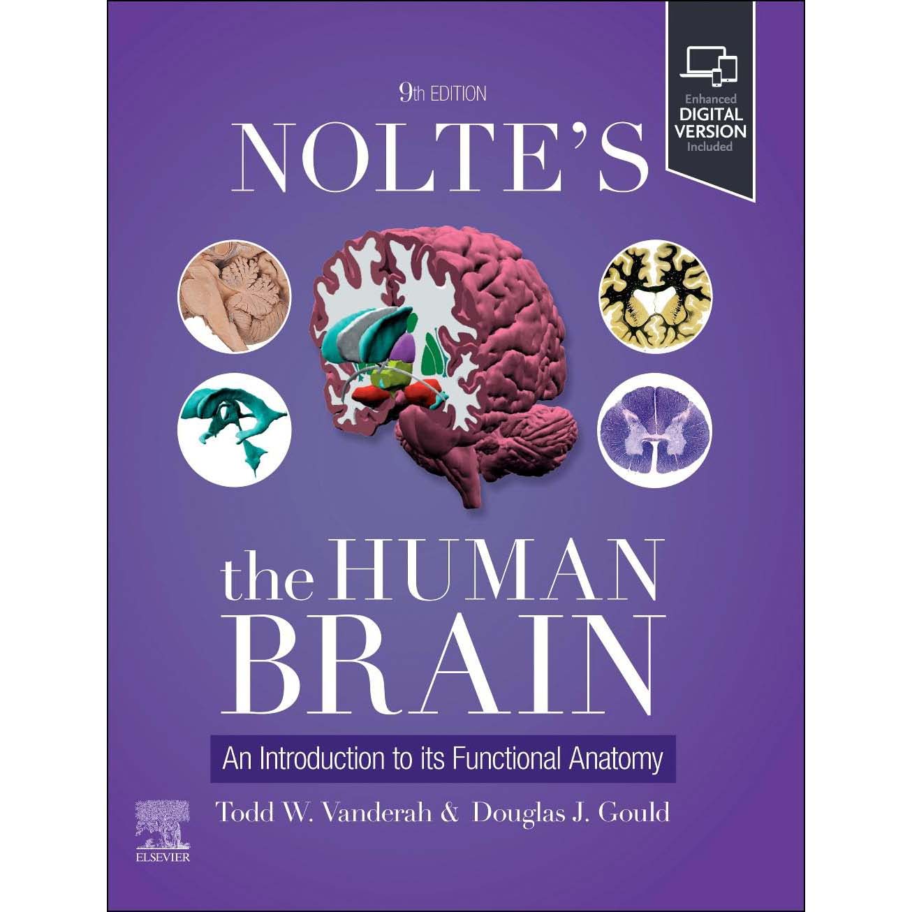 Nolte's The Human Brain: An Introduction to its Functional Anatomy