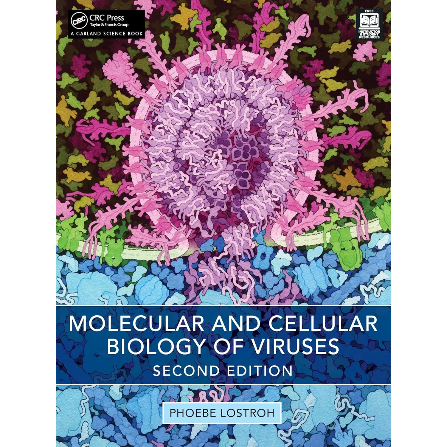 Molecular and Cellular Biology of Viruses