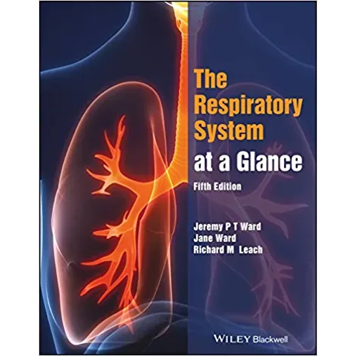 The Respiratory System at a Glance